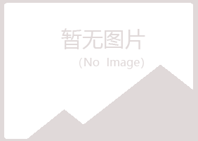 庆阳西峰山柳机械有限公司